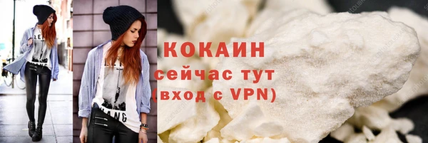 шишки Заводоуковск