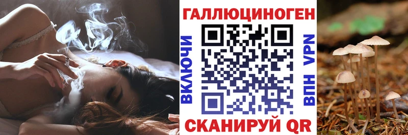 дарк нет клад  Снежногорск  Галлюциногенные грибы мицелий 