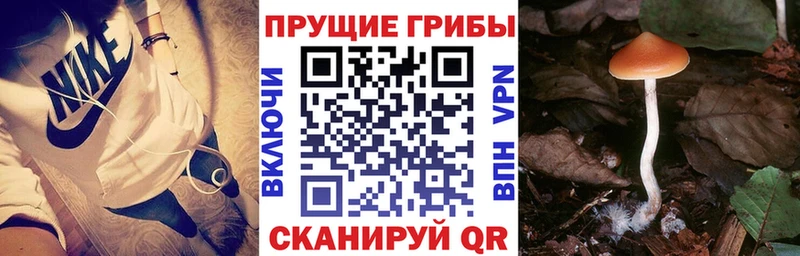 Псилоцибиновые грибы MAGIC MUSHROOMS Снежногорск