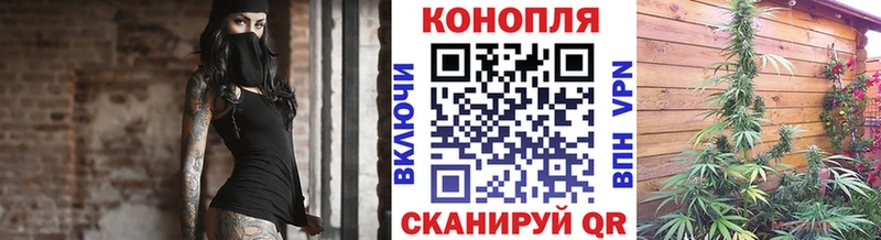 Каннабис OG Kush Снежногорск