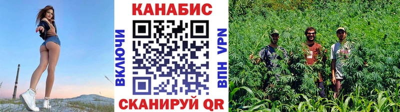 Канабис семена  Снежногорск 